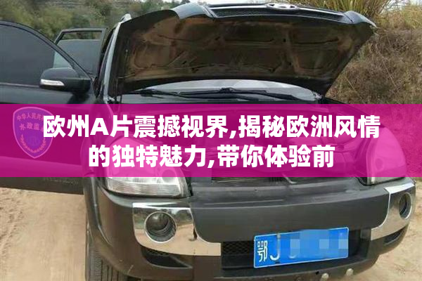 欧州A片震撼视界,揭秘欧洲风情的独特魅力,带你体验前