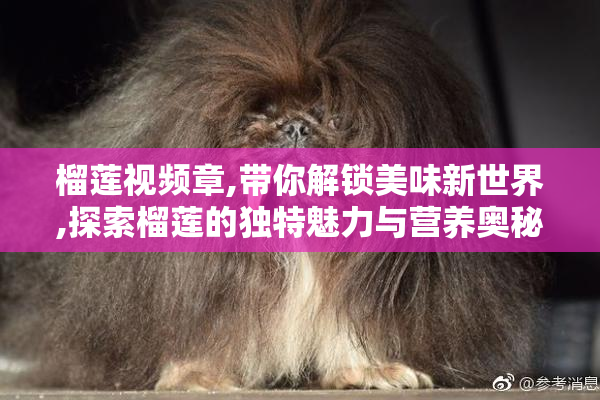 榴莲视频章,带你解锁美味新世界,探索榴莲的独特魅力与营养奥秘