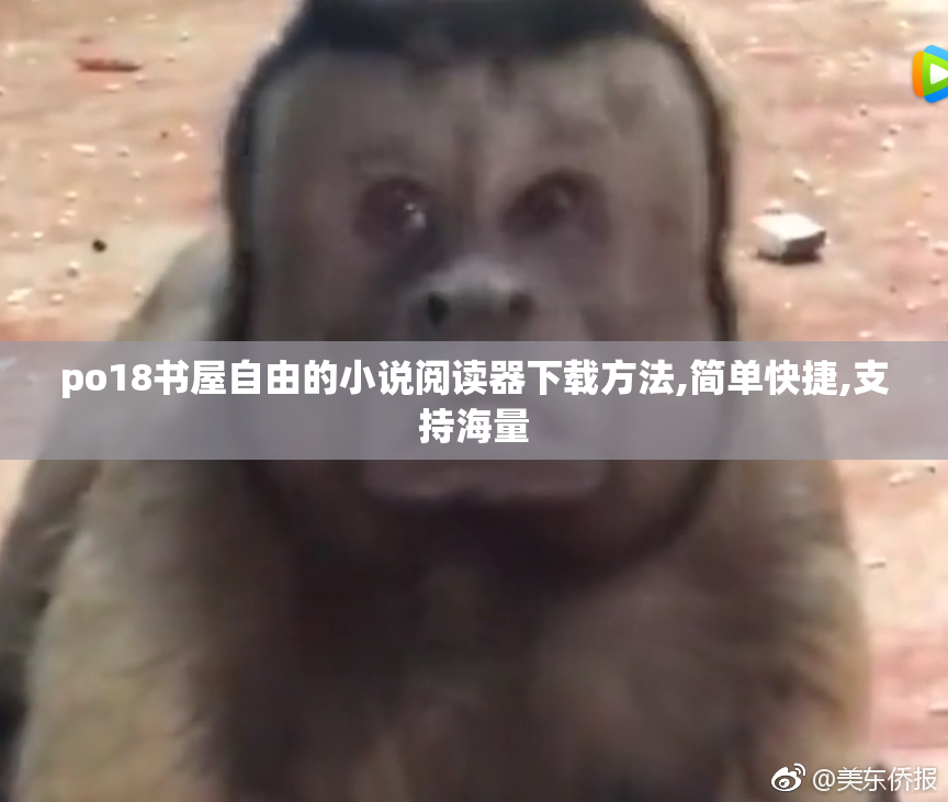 po18书屋自由的小说阅读器下载方法,简单快捷,支持海量