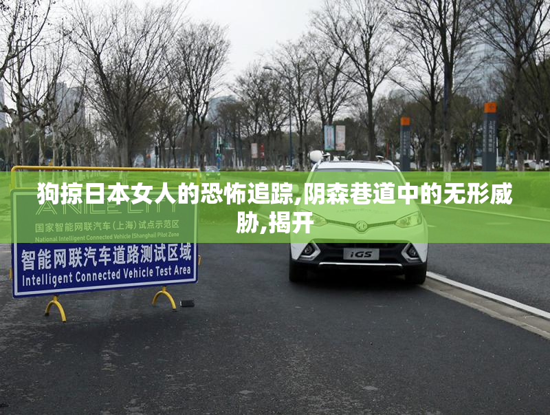 狗掠日本女人的恐怖追踪,阴森巷道中的无形威胁,揭开