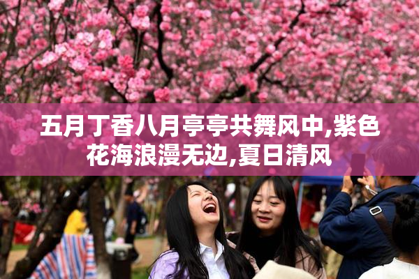 五月丁香八月亭亭共舞风中,紫色花海浪漫无边,夏日清风