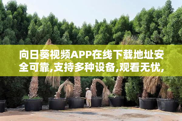 向日葵视频APP在线下载地址安全可靠,支持多种设备,观看无忧,带给