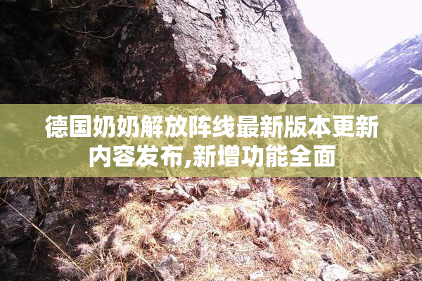 德国奶奶解放阵线最新版本更新内容发布,新增功能全面