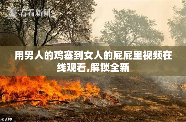 用男人的鸡塞到女人的屁屁里视频在线观看,解锁全新