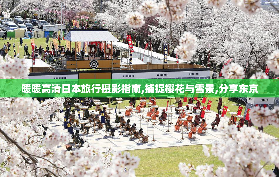 暖暖高清日本旅行摄影指南,捕捉樱花与雪景,分享东京