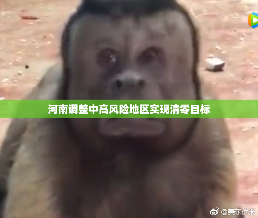 河南调整中高风险地区实现清零目标