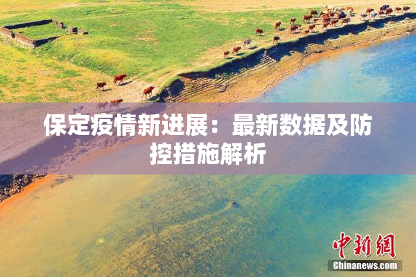 保定疫情新进展：最新数据及防控措施解析