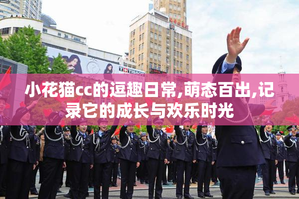 小花猫cc的逗趣日常,萌态百出,记录它的成长与欢乐时光