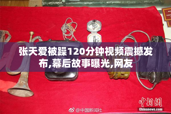 张天爱被躁120分钟视频震撼发布,幕后故事曝光,网友