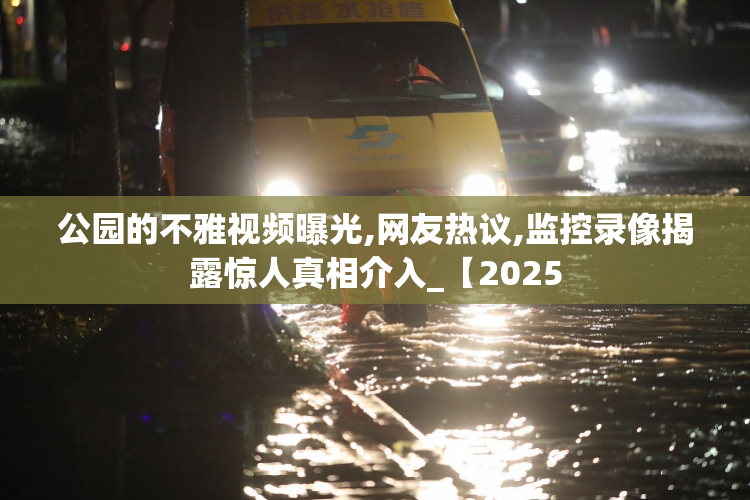 公园的不雅视频曝光,网友热议,监控录像揭露惊人真相介入_【2025