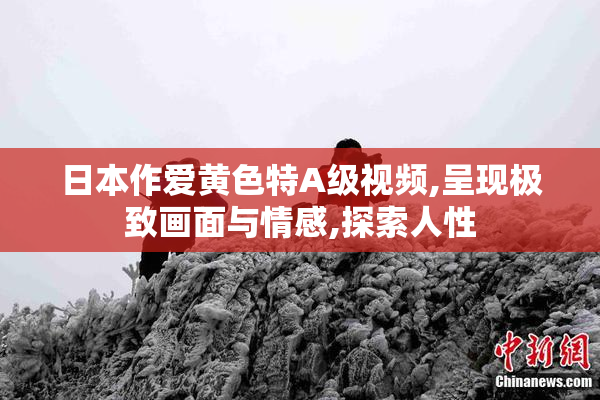 日本作爱黄色特A级视频,呈现极致画面与情感,探索人性