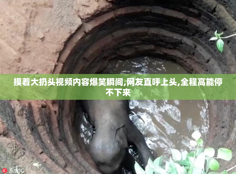 摸着大扔头视频内容爆笑瞬间,网友直呼上头,全程高能停不下来