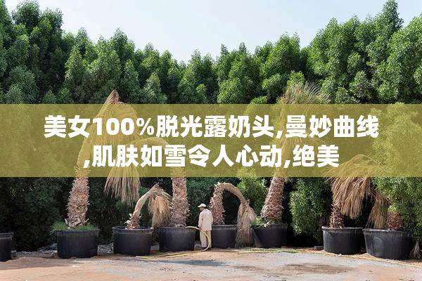 美女100%脱光露奶头,曼妙曲线,肌肤如雪令人心动,绝美