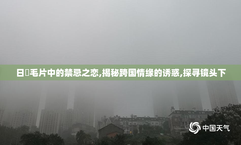 日韓毛片中的禁忌之恋,揭秘跨国情缘的诱惑,探寻镜头下