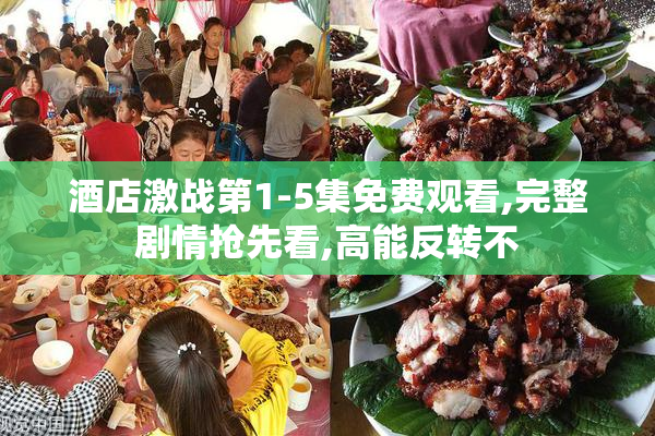 酒店激战第1-5集免费观看,完整剧情抢先看,高能反转不