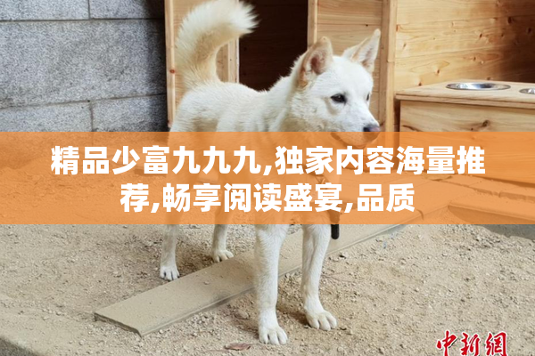 精品少富九九九,独家内容海量推荐,畅享阅读盛宴,品质