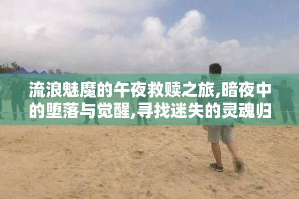 流浪魅魔的午夜救赎之旅,暗夜中的堕落与觉醒,寻找迷失的灵魂归宿