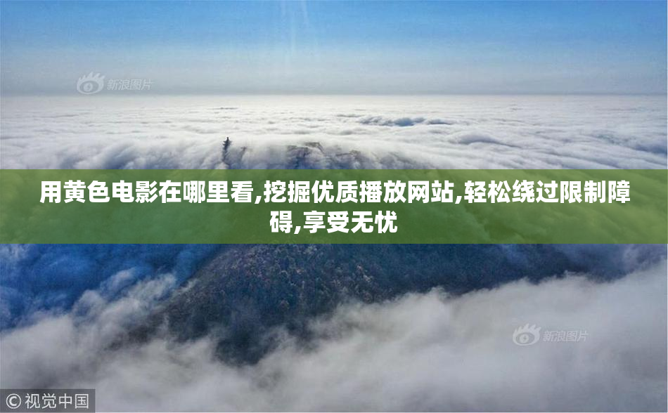 用黄色电影在哪里看,挖掘优质播放网站,轻松绕过限制障碍,享受无忧