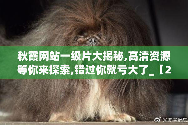 秋霞网站一级片大揭秘,高清资源等你来探索,错过你就亏大了_【2025