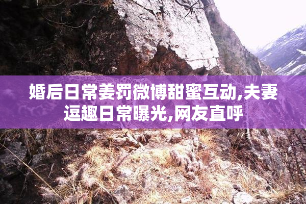 婚后日常姜罚微博甜蜜互动,夫妻逗趣日常曝光,网友直呼