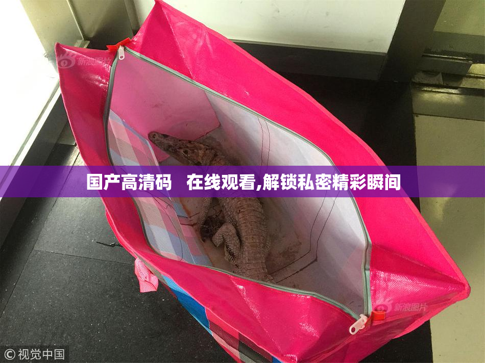国产高清码   在线观看,解锁私密精彩瞬间