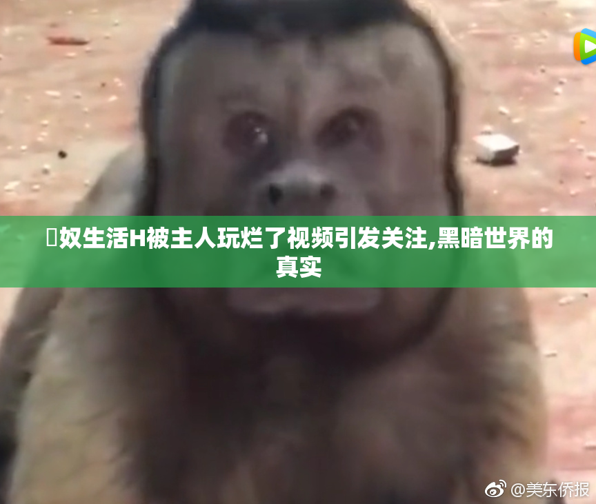婬奴生活H被主人玩烂了视频引发关注,黑暗世界的真实