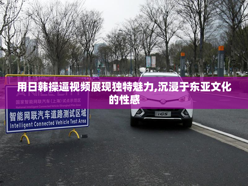 用日韩操逼视频展现独特魅力,沉浸于东亚文化的性感