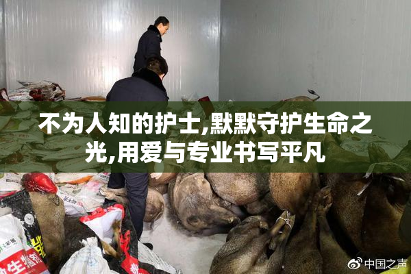 不为人知的护士,默默守护生命之光,用爱与专业书写平凡