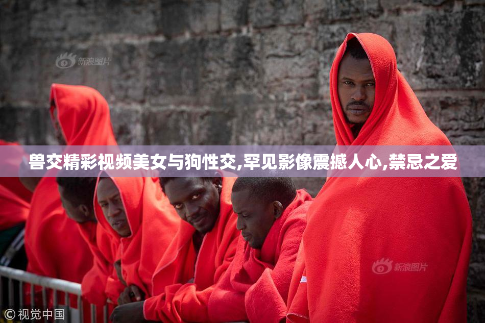 兽交精彩视频美女与狗性交,罕见影像震撼人心,禁忌之爱