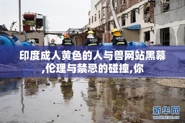 印度成人黄色的人与兽网站黑幕,伦理与禁忌的碰撞,你