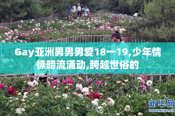 Gay亚洲男男男爱18一19,少年情愫暗流涌动,跨越世俗的