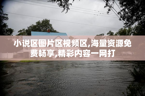 小说区图片区视频区,海量资源免费畅享,精彩内容一网打
