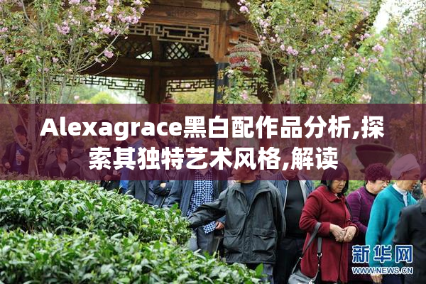Alexagrace黑白配作品分析,探索其独特艺术风格,解读