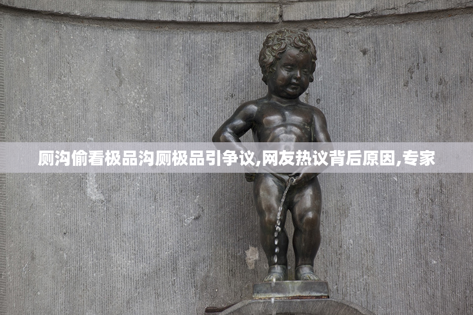 厕沟偷看极品沟厕极品引争议,网友热议背后原因,专家