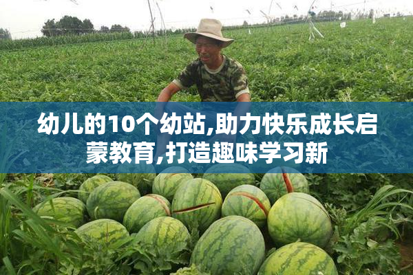 幼儿的10个幼站,助力快乐成长启蒙教育,打造趣味学习新