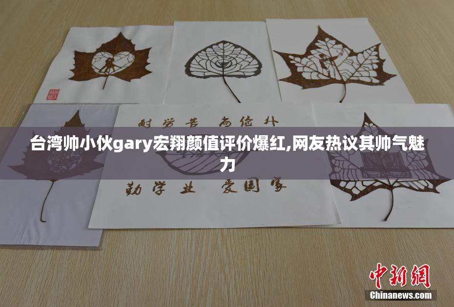 台湾帅小伙gary宏翔颜值评价爆红,网友热议其帅气魅力