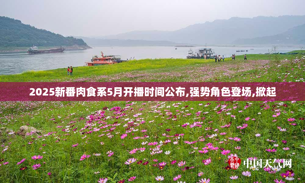 2025新番肉食系5月开播时间公布,强势角色登场,掀起
