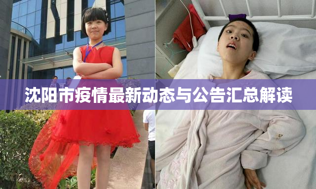 沈阳市疫情最新动态与公告汇总解读