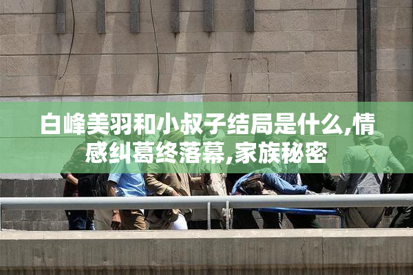 白峰美羽和小叔子结局是什么,情感纠葛终落幕,家族秘密