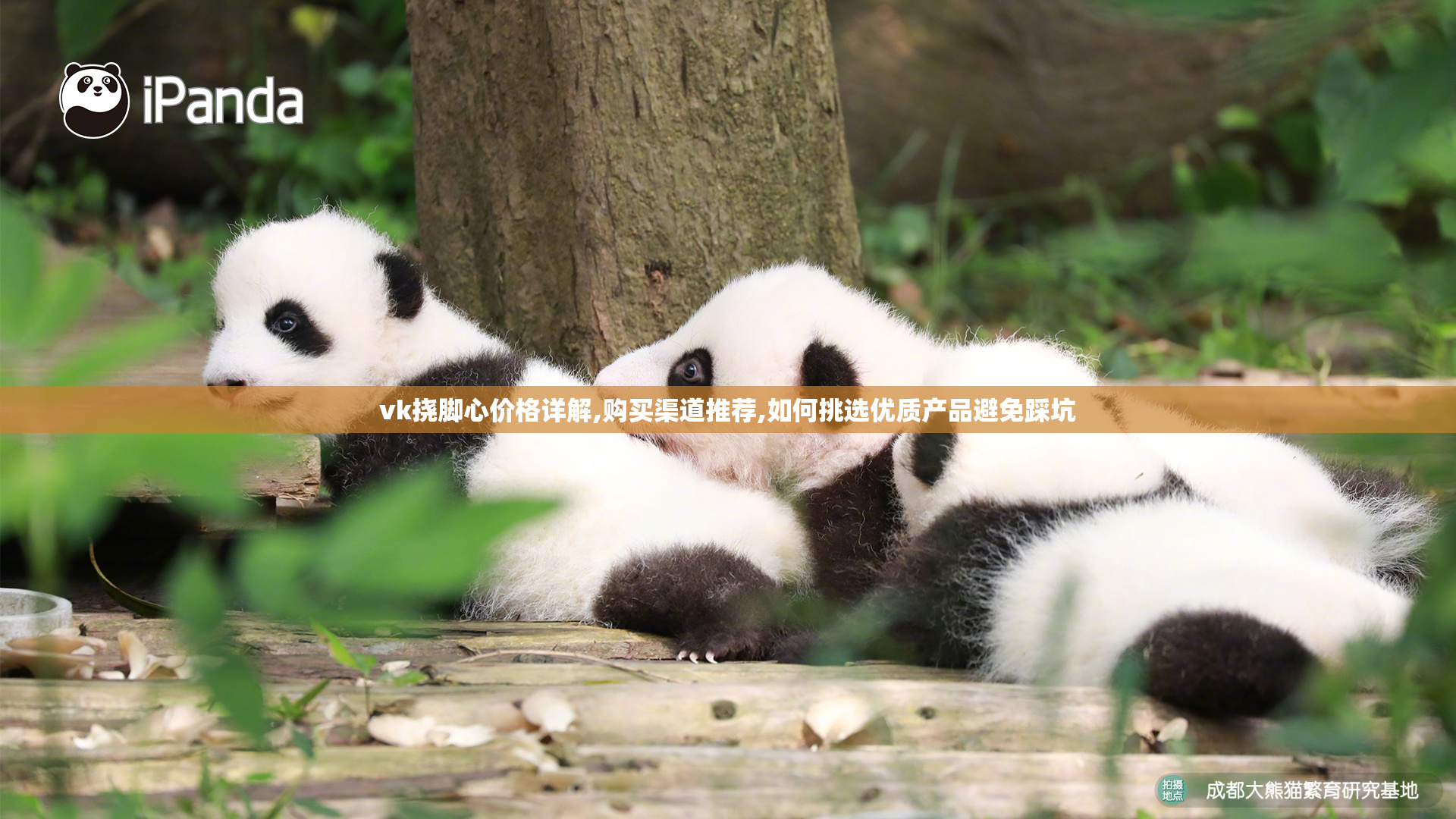 vk挠脚心价格详解,购买渠道推荐,如何挑选优质产品避免踩坑