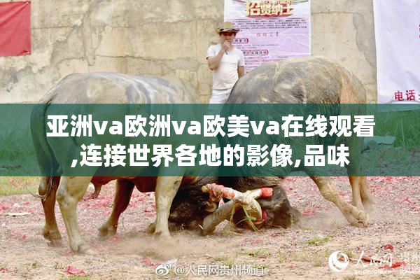 亚洲va欧洲va欧美va在线观看,连接世界各地的影像,品味