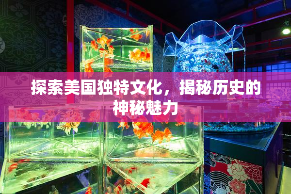 探索美国独特文化，揭秘历史的神秘魅力