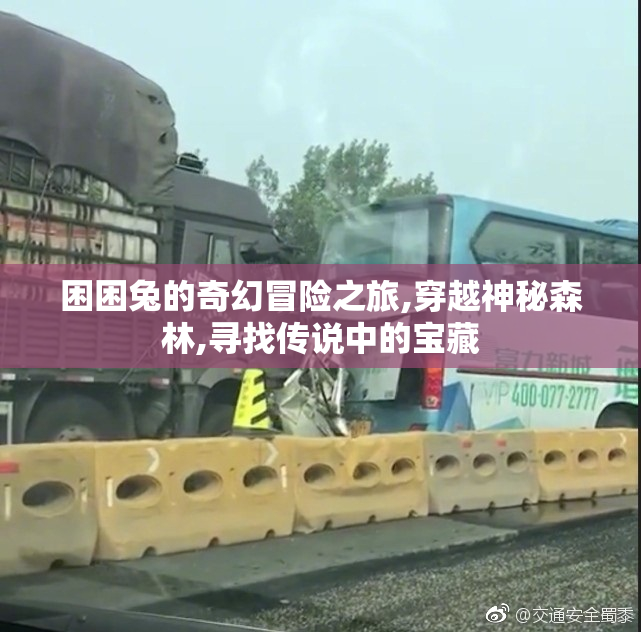 困困兔的奇幻冒险之旅,穿越神秘森林,寻找传说中的宝藏