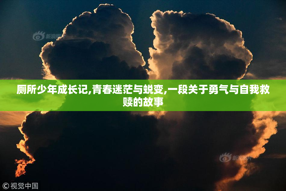 厕所少年成长记,青春迷茫与蜕变,一段关于勇气与自我救赎的故事