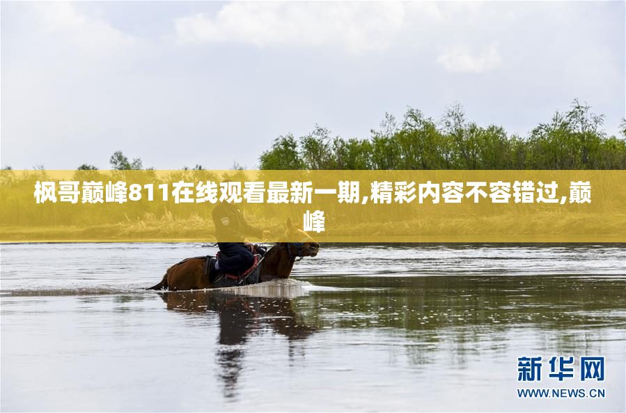 枫哥巅峰811在线观看最新一期,精彩内容不容错过,巅峰