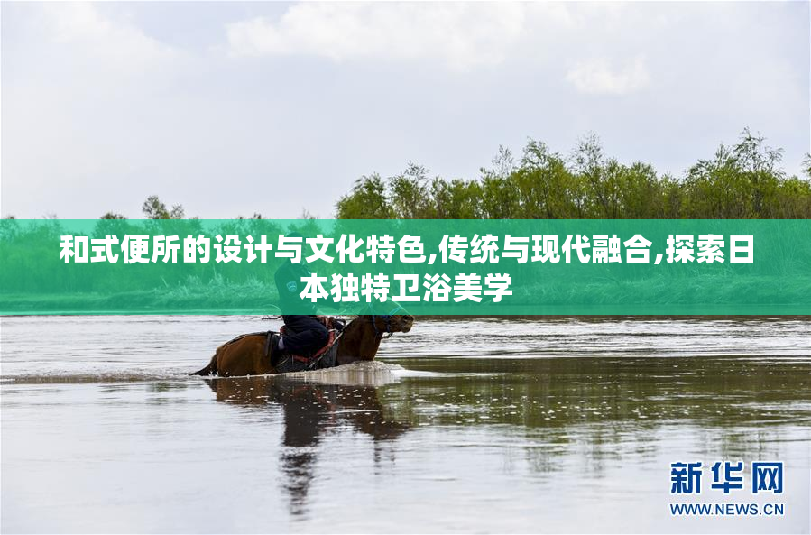 和式便所的设计与文化特色,传统与现代融合,探索日本独特卫浴美学