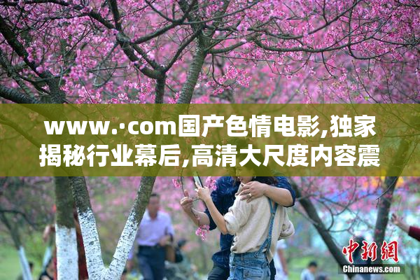 www.·com国产色情电影,独家揭秘行业幕后,高清大尺度内容震撼来袭