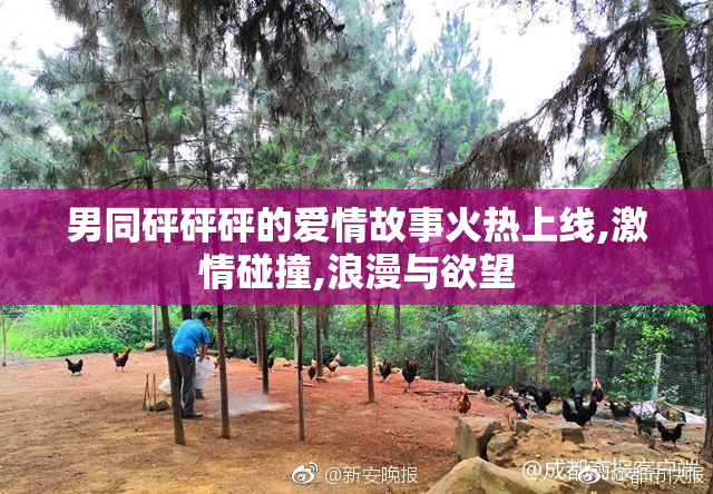 男同砰砰砰的爱情故事火热上线,激情碰撞,浪漫与欲望