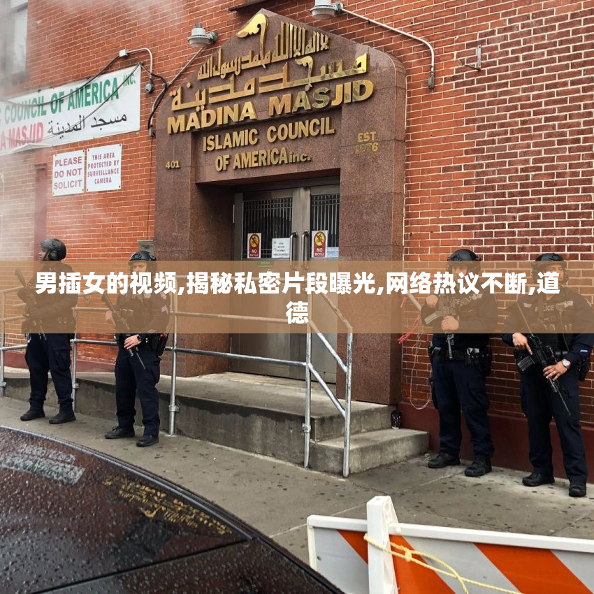 男插女的视频,揭秘私密片段曝光,网络热议不断,道德