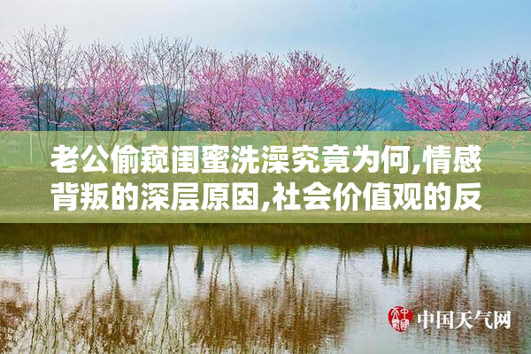 老公偷窥闺蜜洗澡究竟为何,情感背叛的深层原因,社会价值观的反思
